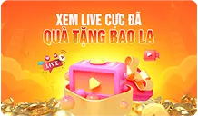 Xem Live Cực Đã KJC